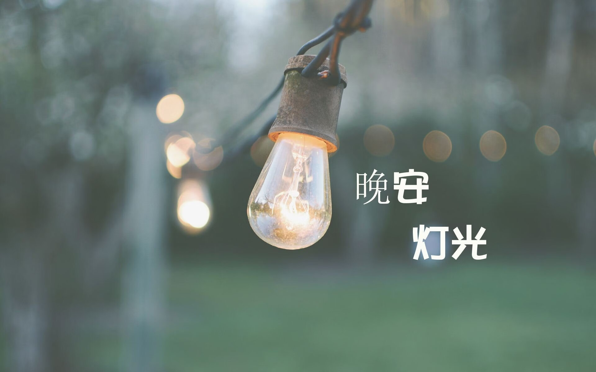 “新晋足球教练崭露头角,为中国足球注入新动力”,足球教练中国队