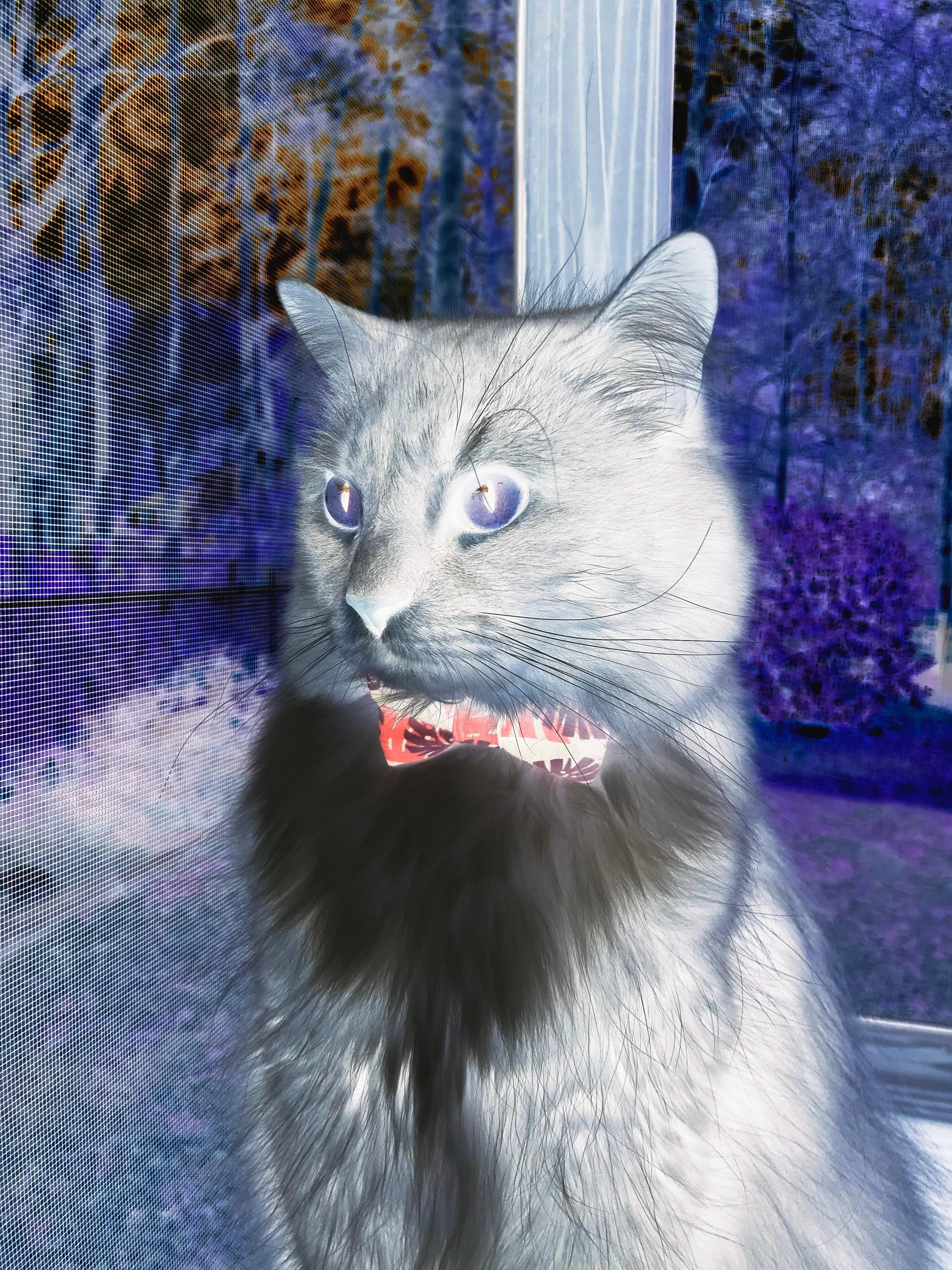 爱游戏app-【亮点集锦】本周最令人难忘的棒球瞬间盘点，棒球视频吓人