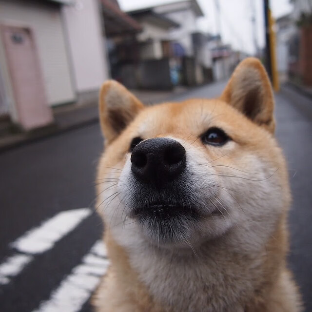 爱游戏 电竞-国际足球明星助阵中国公益足球活动，国家足球队赞助商