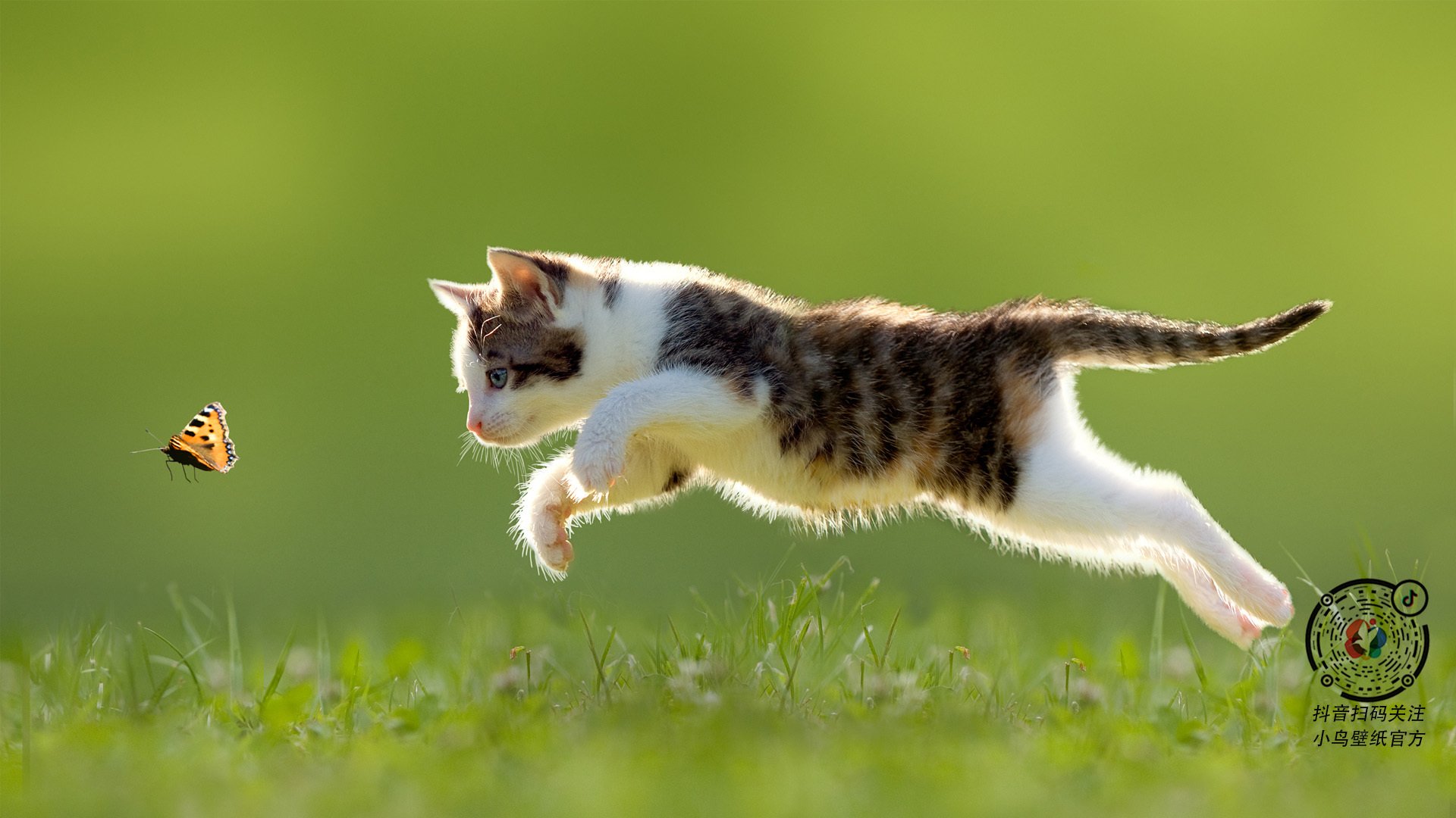 爱游戏体育官方网站-姆巴佩荣膺2024年欧洲金靴奖，姆巴佩金球奖最高排名